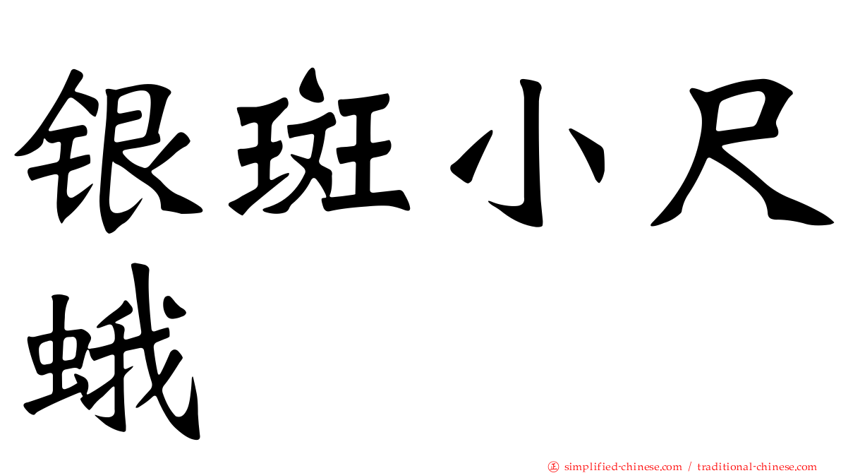 银斑小尺蛾