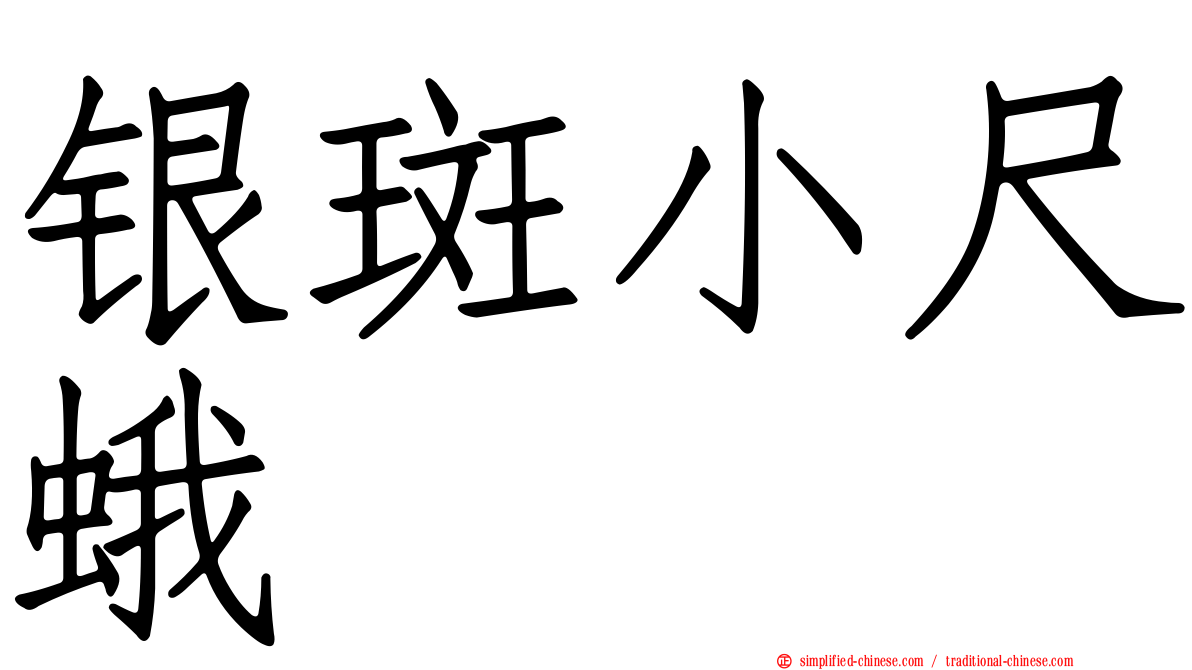 银斑小尺蛾