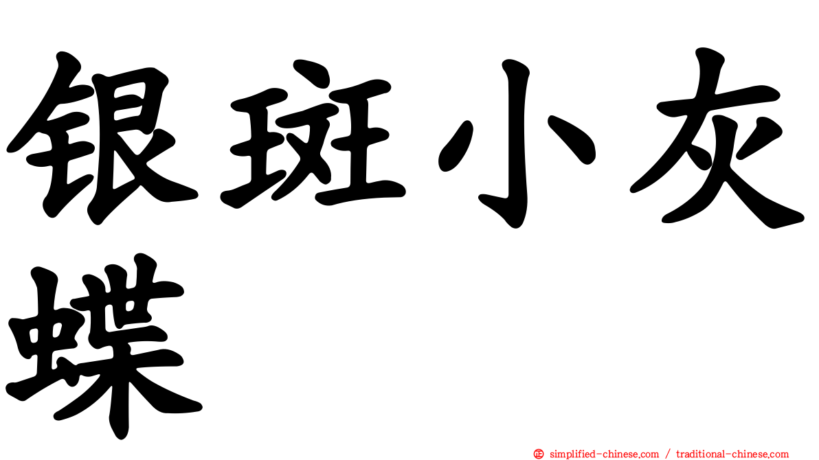 银斑小灰蝶