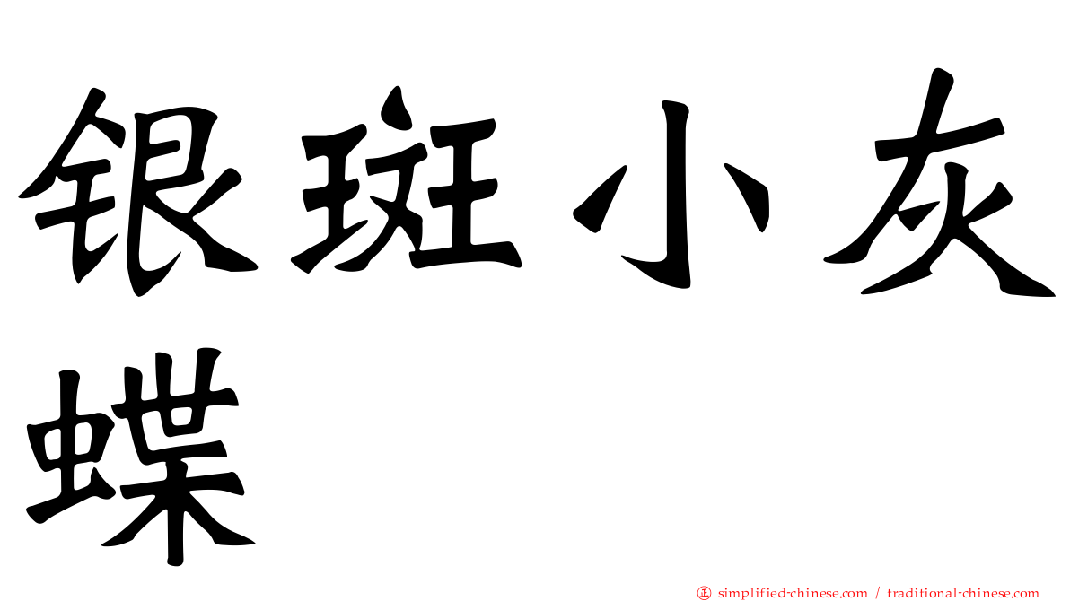 银斑小灰蝶