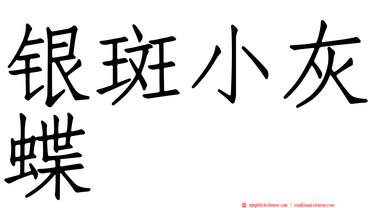 银斑小灰蝶
