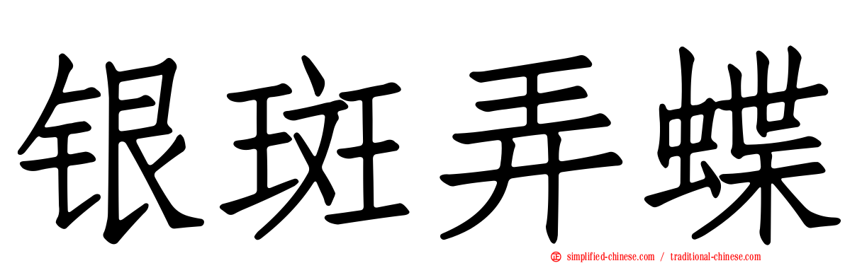 银斑弄蝶