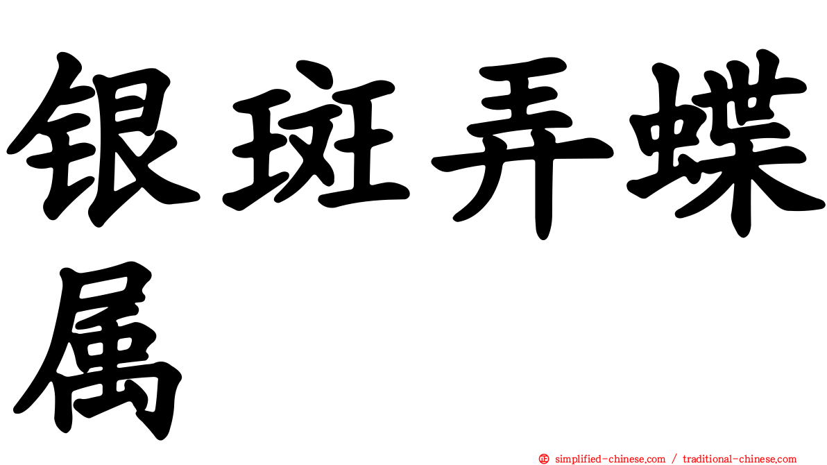 银斑弄蝶属