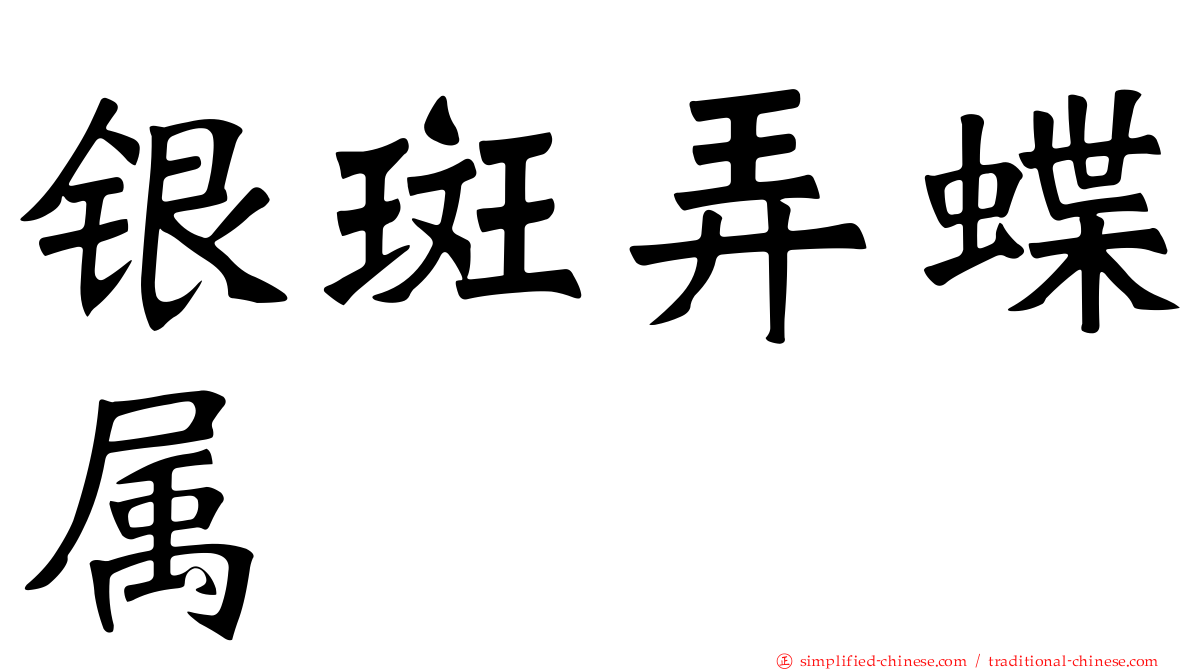 银斑弄蝶属