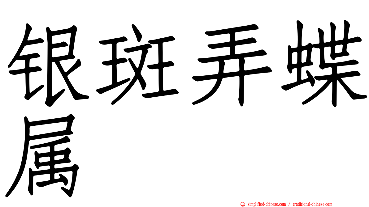 银斑弄蝶属