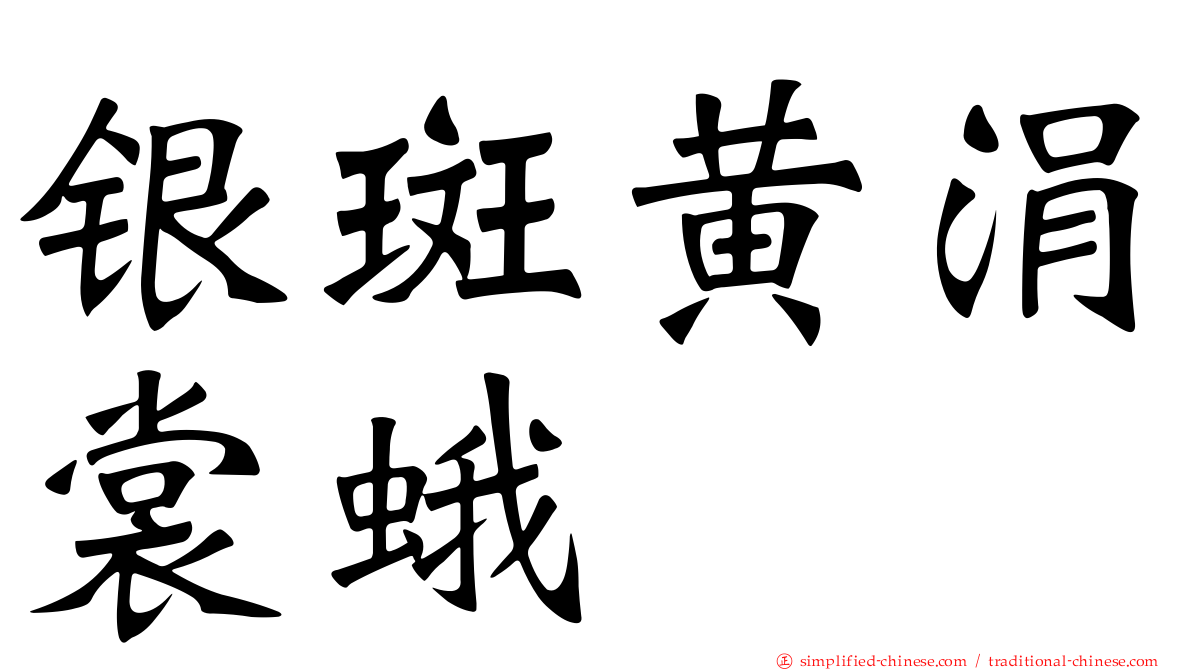 银斑黄涓裳蛾