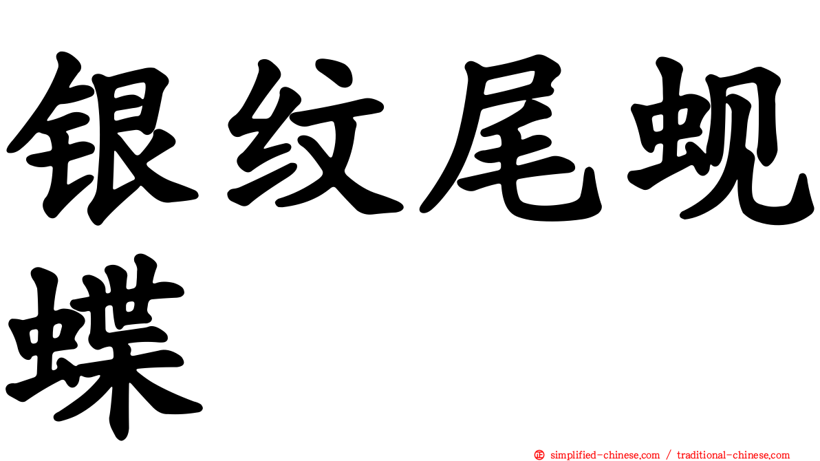 银纹尾蚬蝶