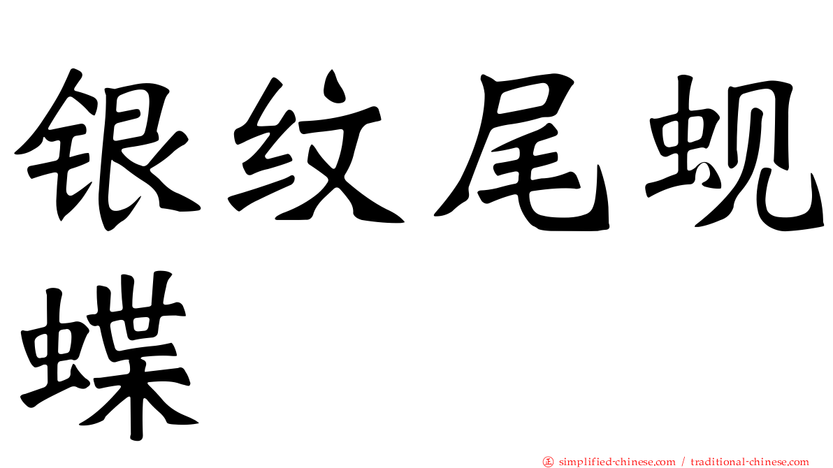 银纹尾蚬蝶