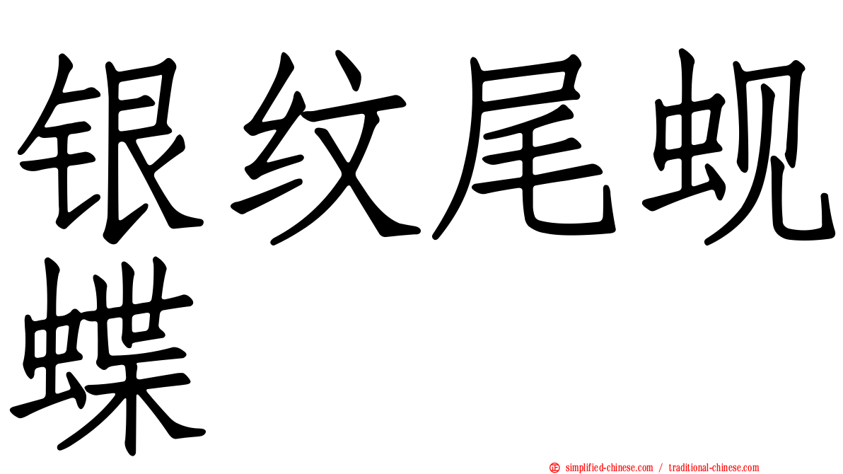 银纹尾蚬蝶
