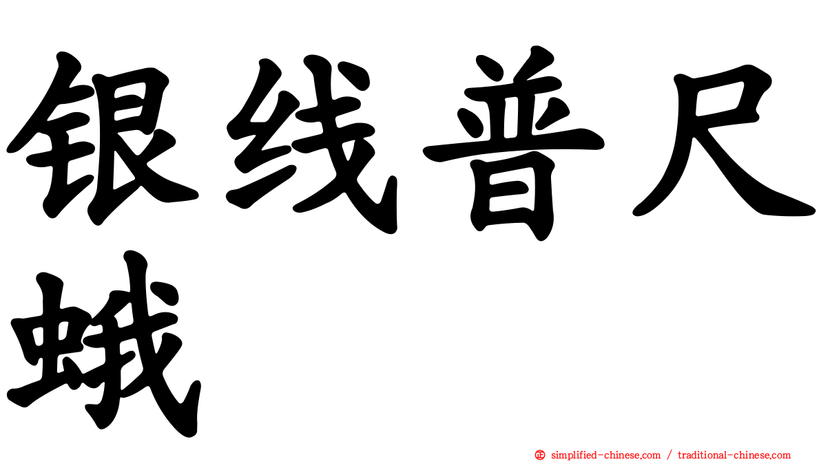 银线普尺蛾