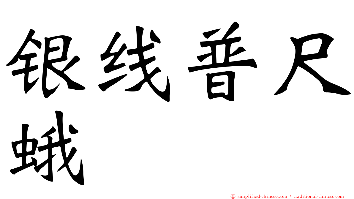 银线普尺蛾