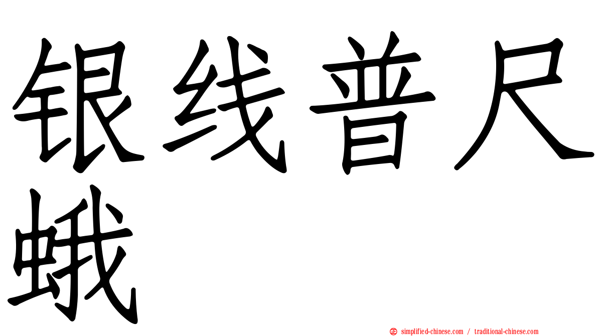 银线普尺蛾