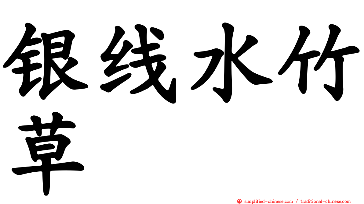 银线水竹草