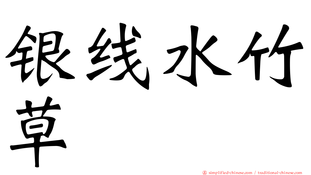 银线水竹草