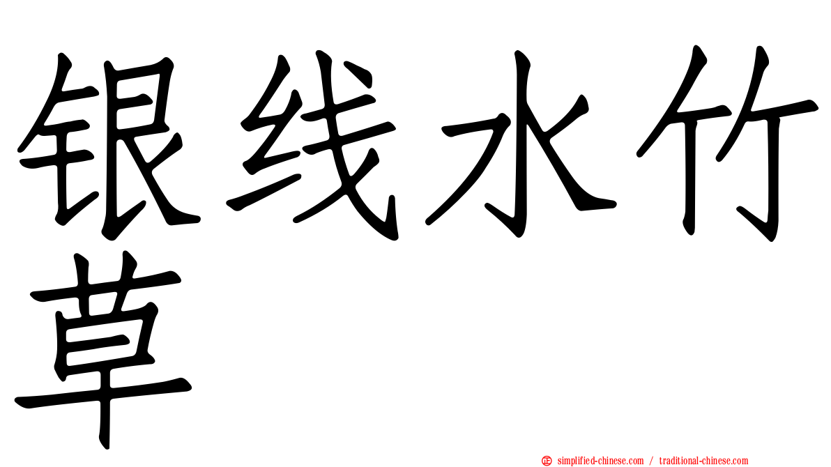银线水竹草