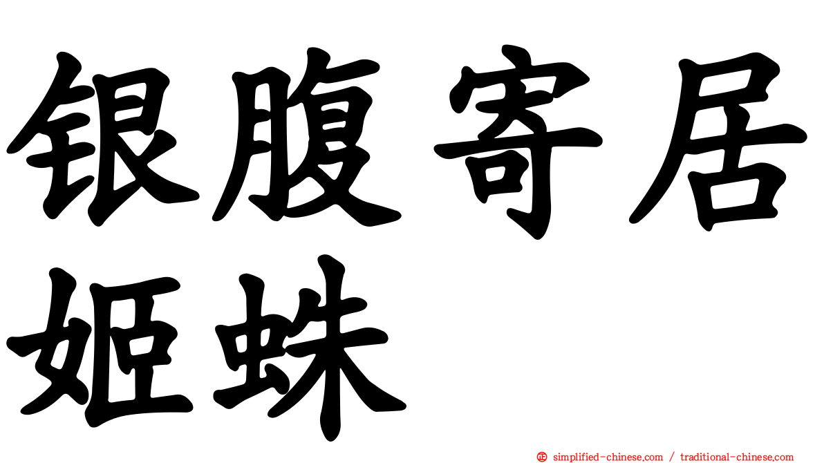 银腹寄居姬蛛