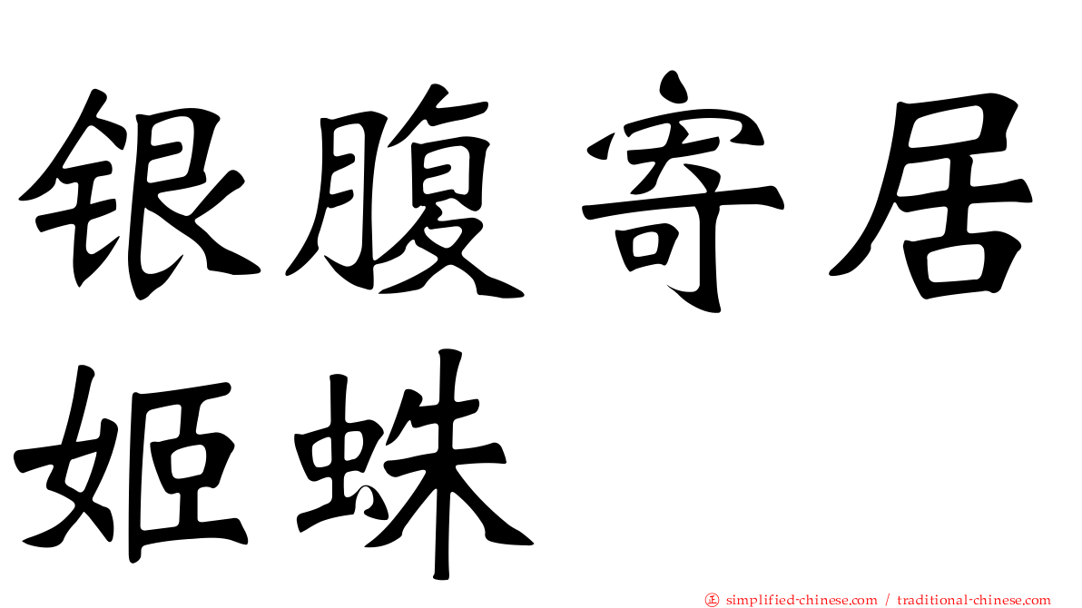 银腹寄居姬蛛