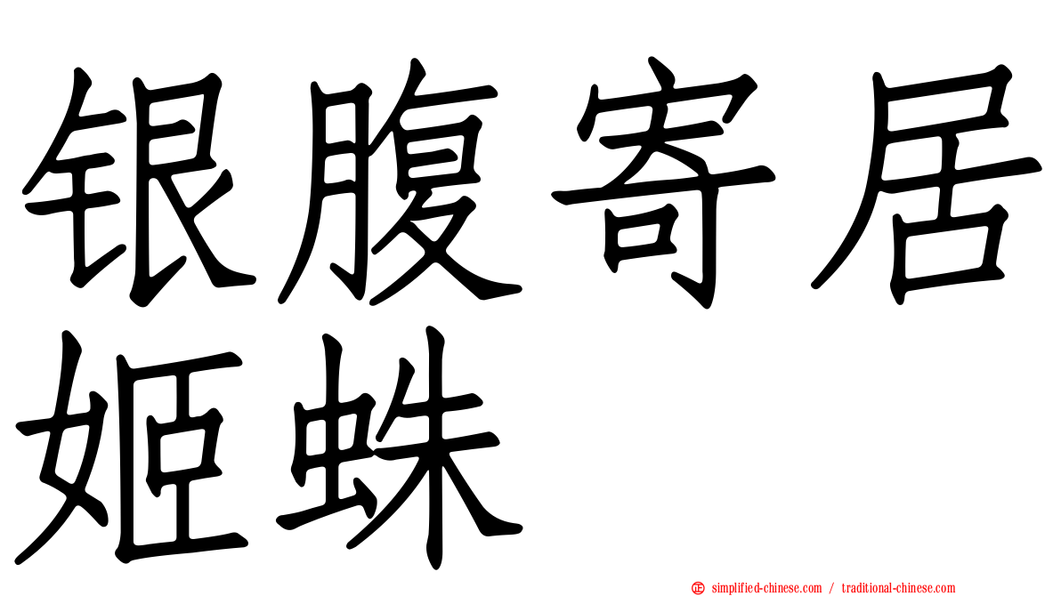银腹寄居姬蛛