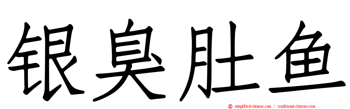 银臭肚鱼