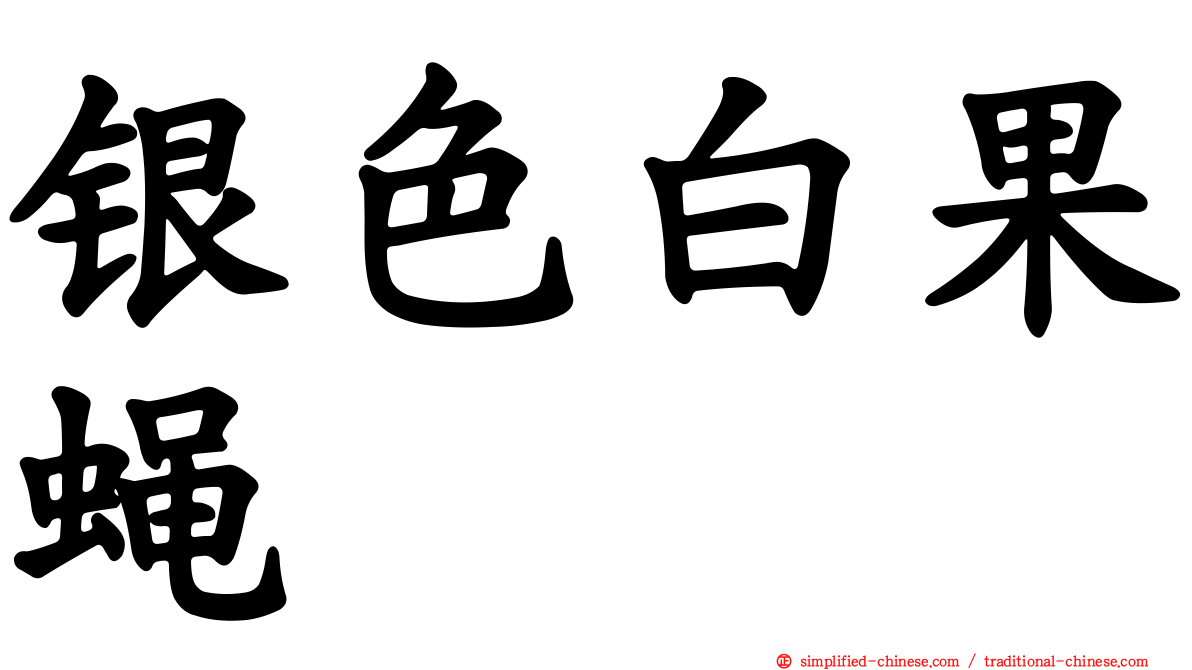 银色白果蝇