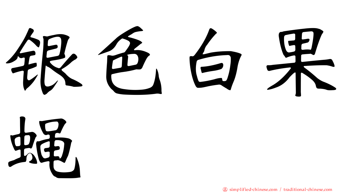 银色白果蝇