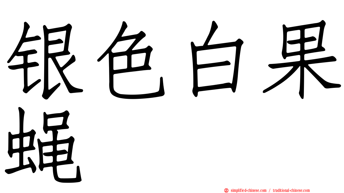 银色白果蝇