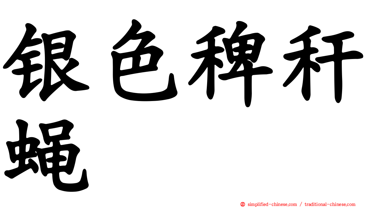 银色稗秆蝇