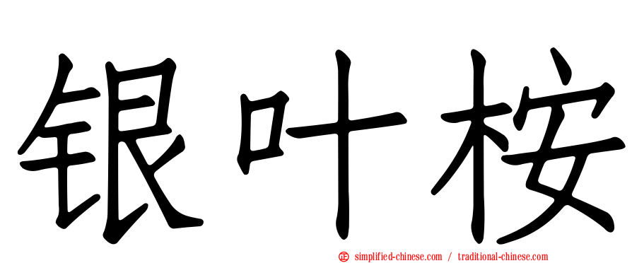 银叶桉