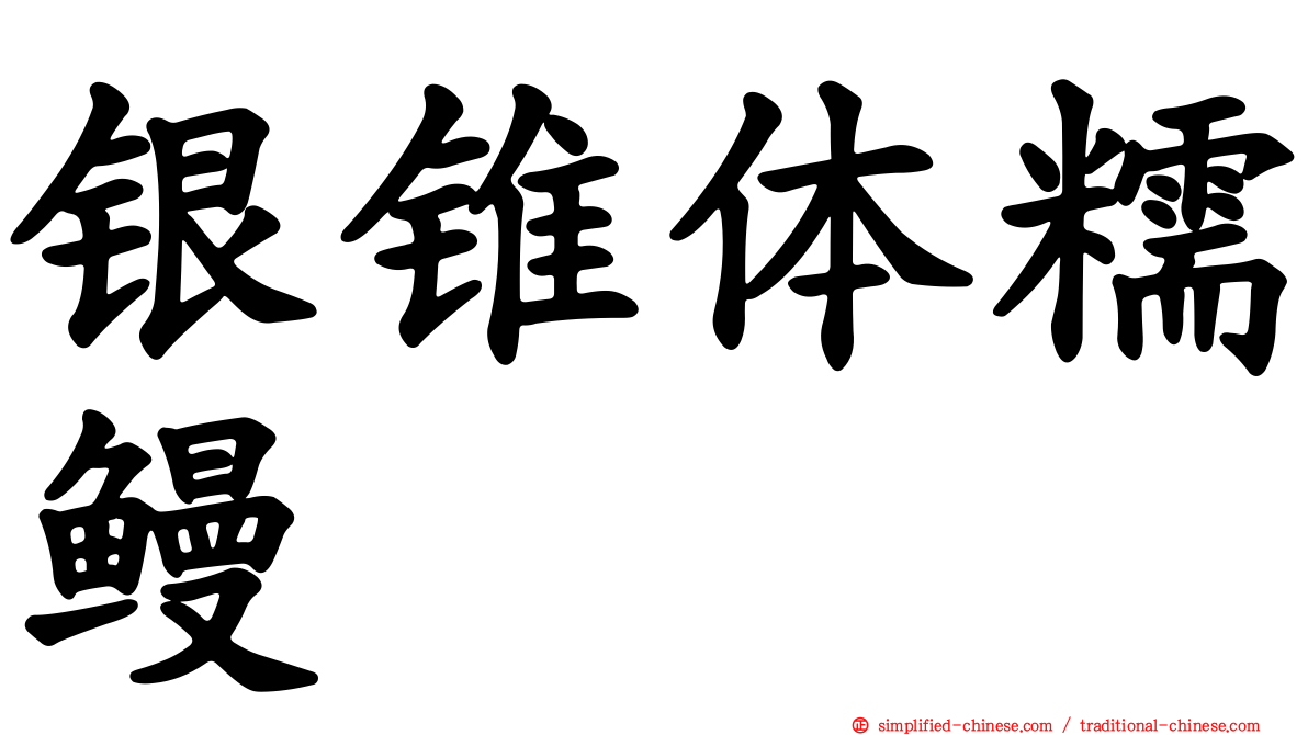 银锥体糯鳗