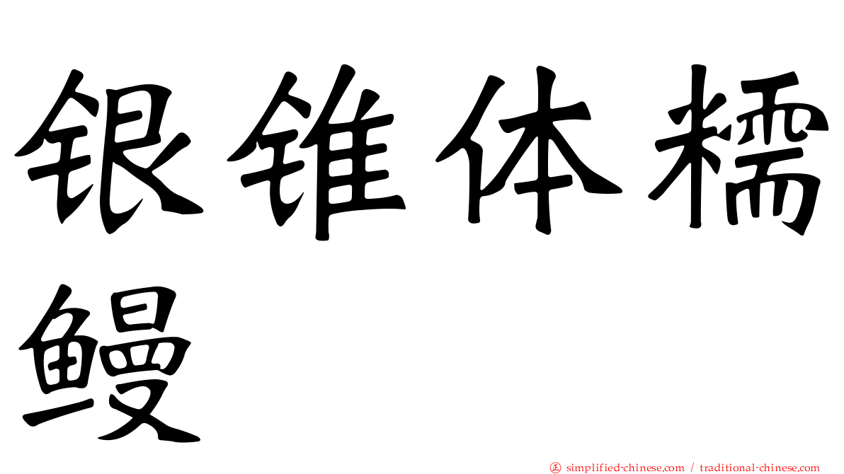 银锥体糯鳗