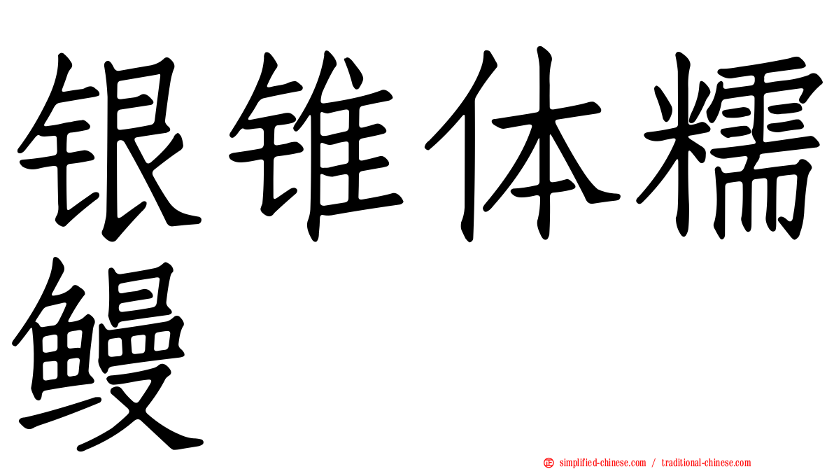 银锥体糯鳗