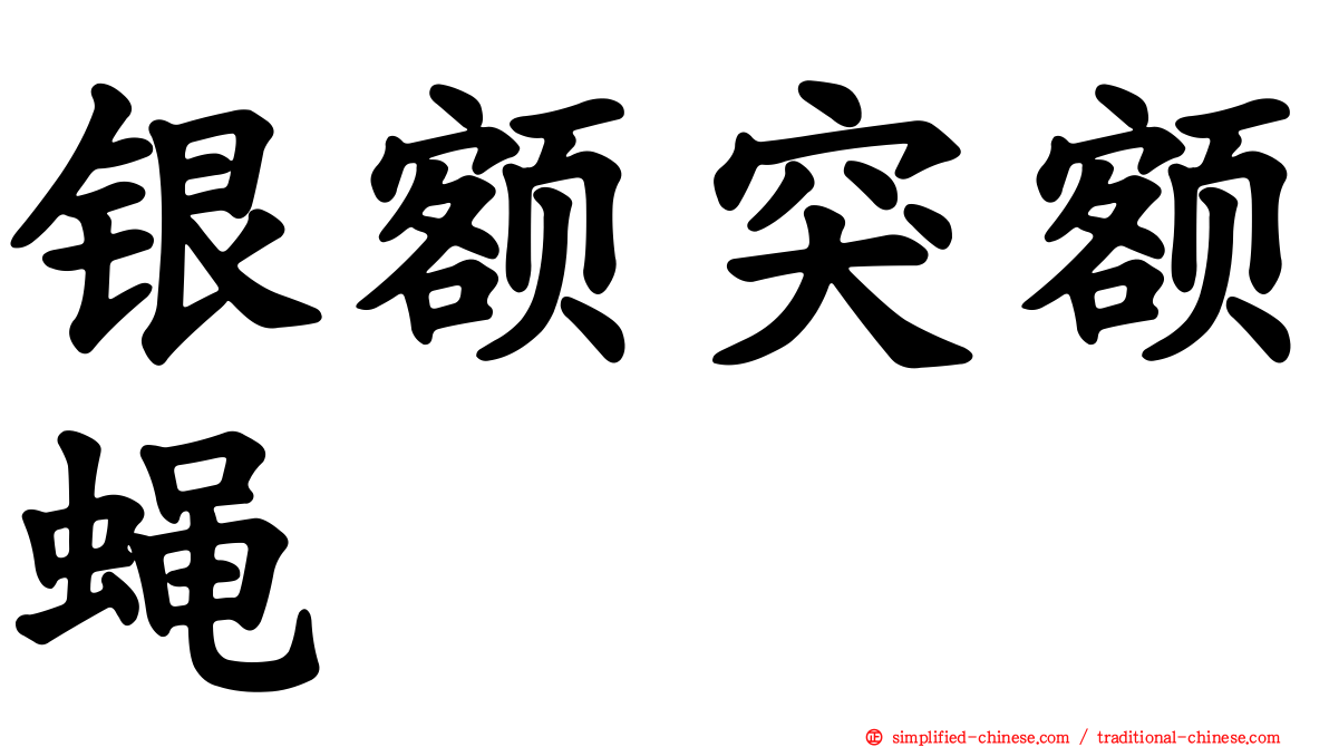 银额突额蝇