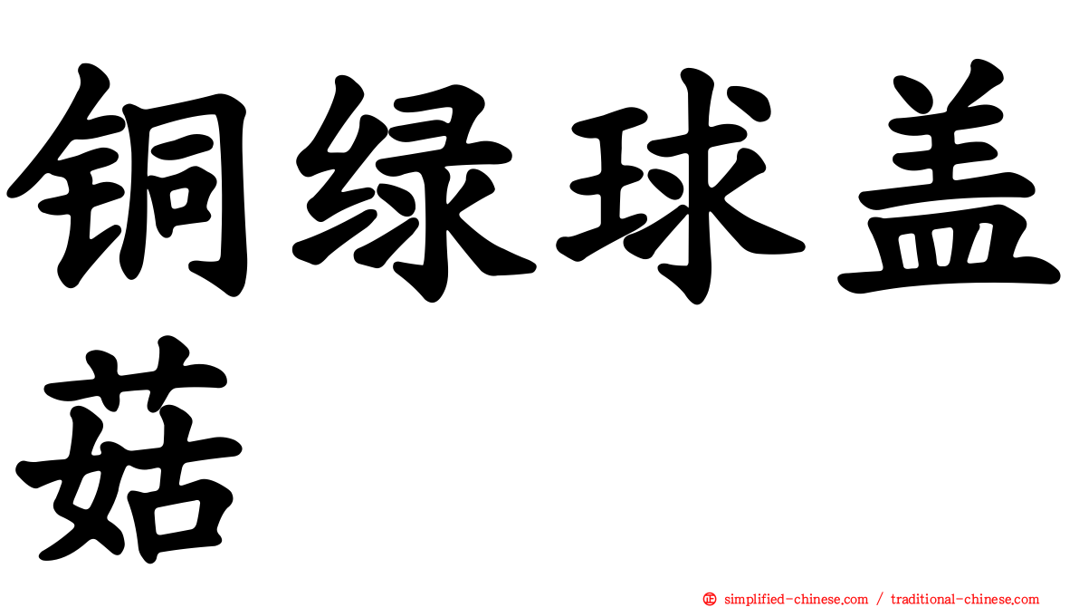 铜绿球盖菇
