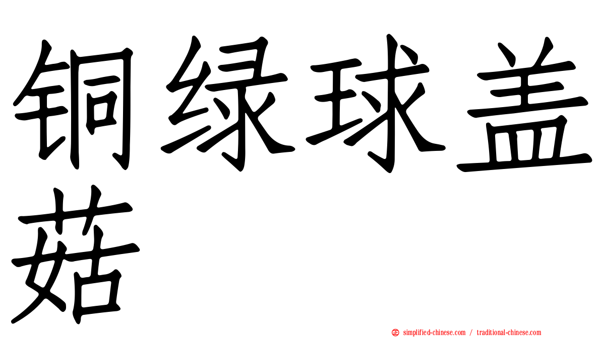 铜绿球盖菇
