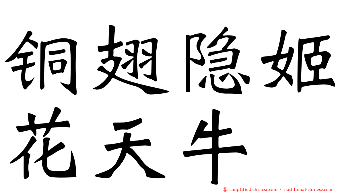 铜翅隐姬花天牛