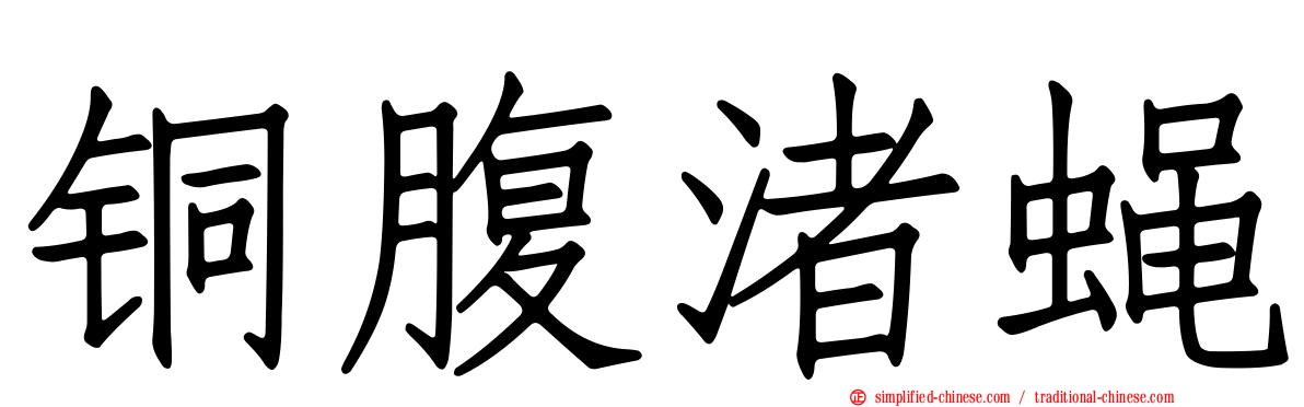 铜腹渚蝇