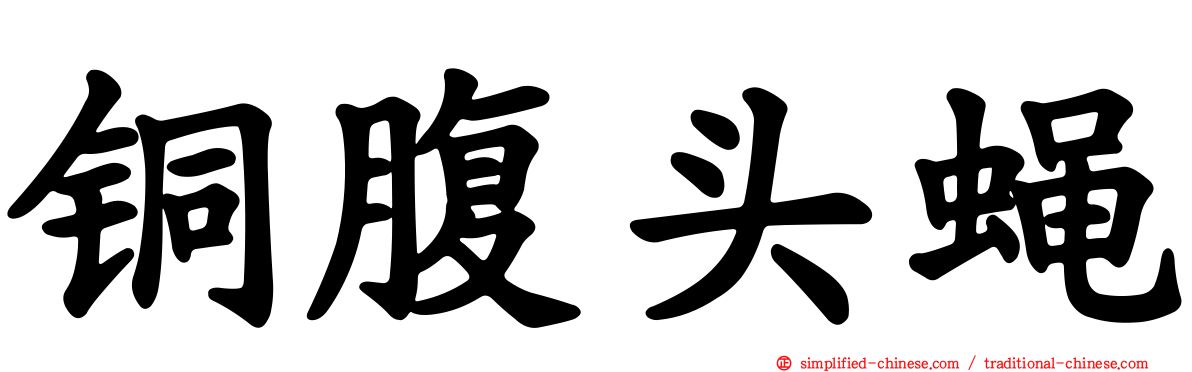 铜腹头蝇