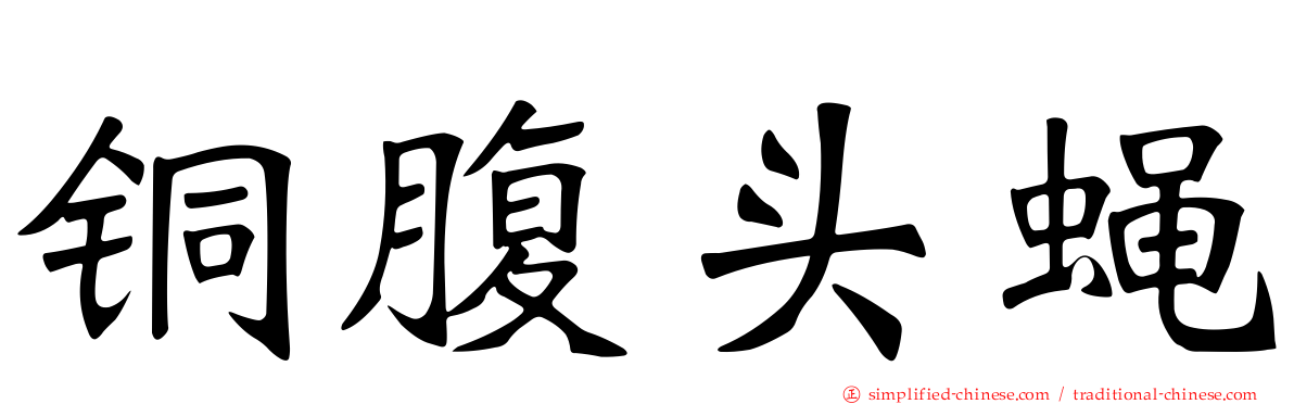 铜腹头蝇