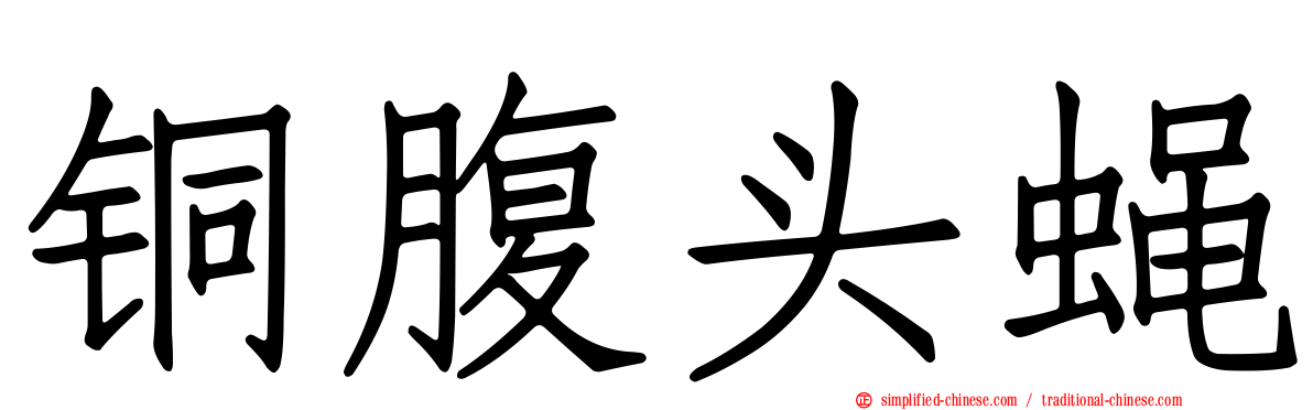 铜腹头蝇