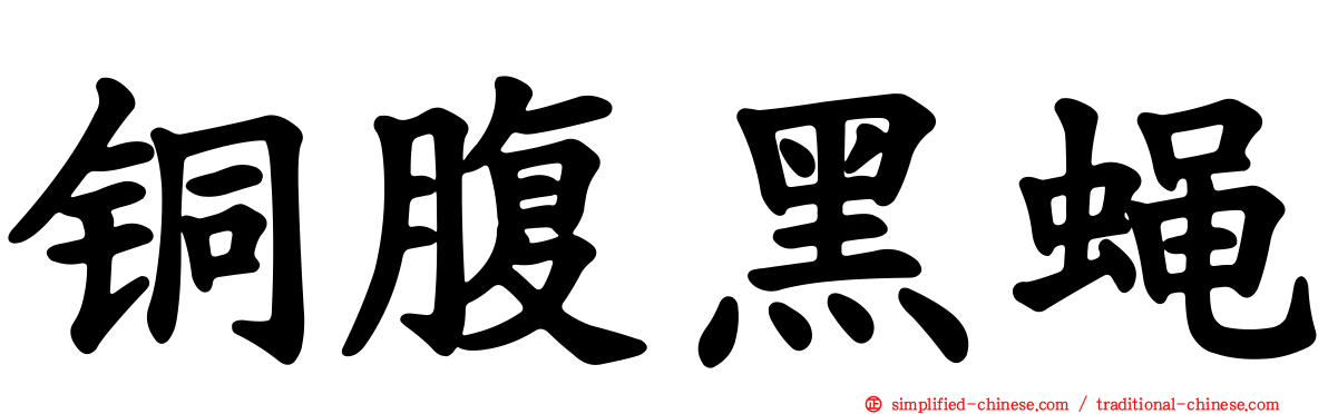 铜腹黑蝇