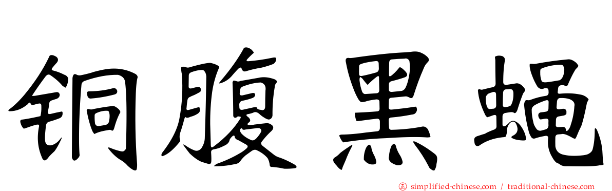 铜腹黑蝇