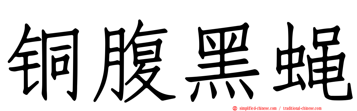 铜腹黑蝇