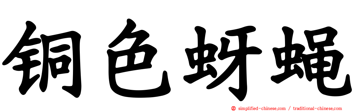 铜色蚜蝇