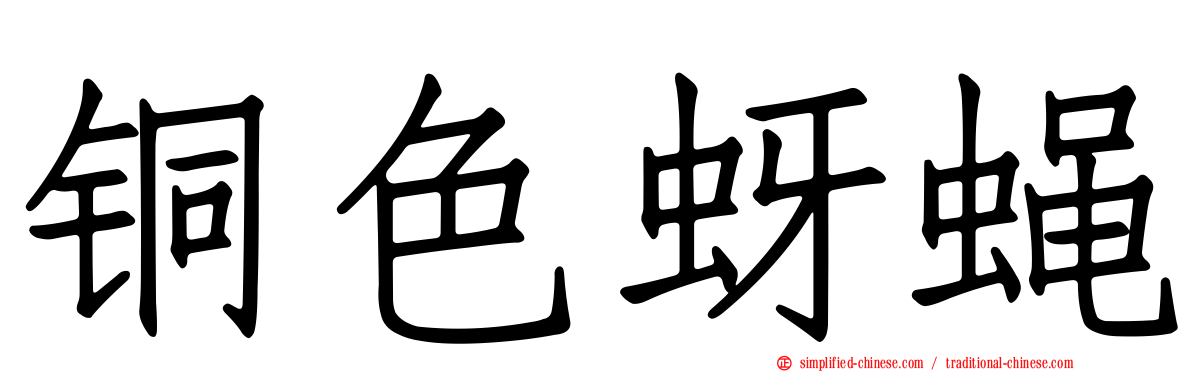 铜色蚜蝇