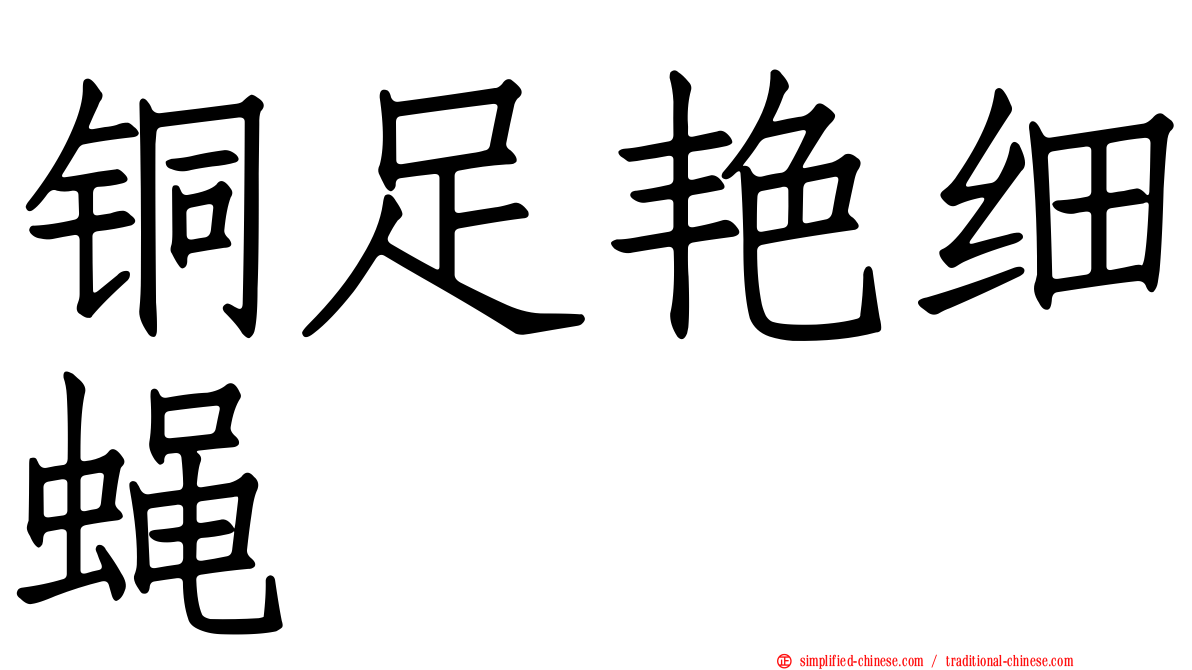 铜足艳细蝇