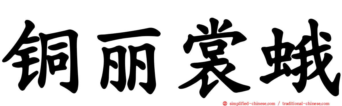 铜丽裳蛾