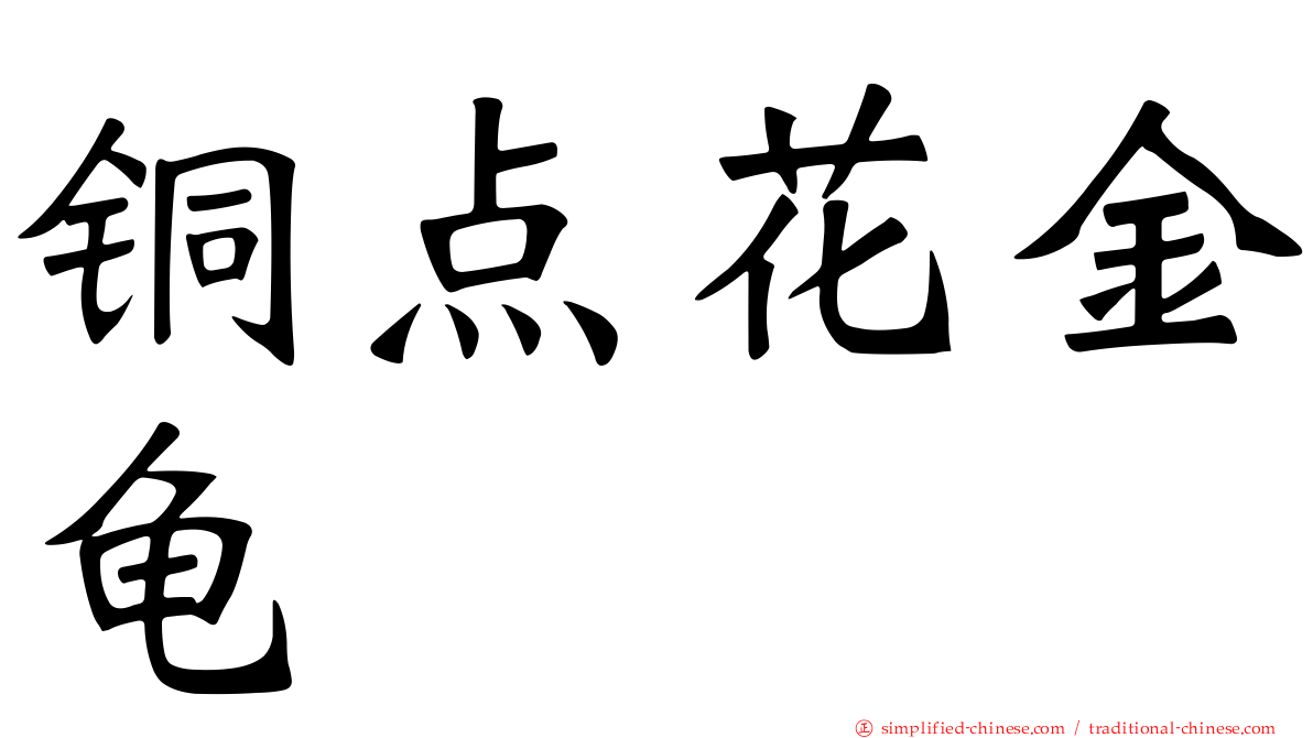 铜点花金龟