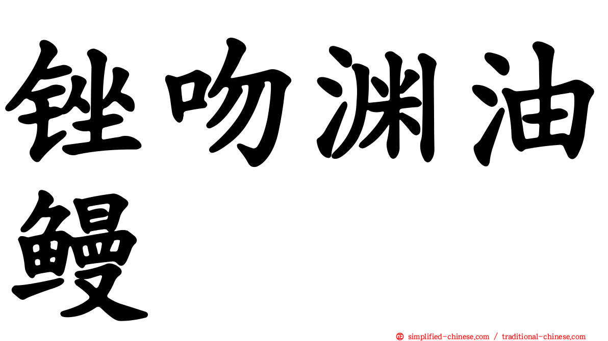 锉吻渊油鳗