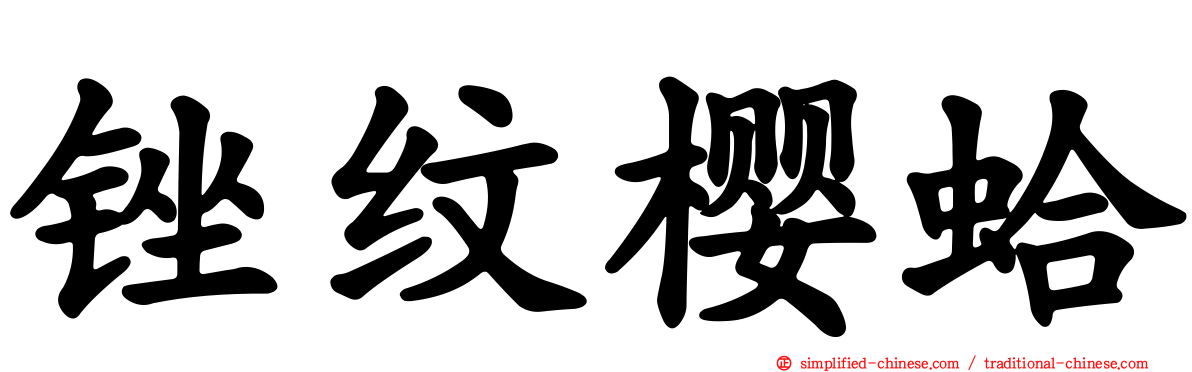 锉纹樱蛤