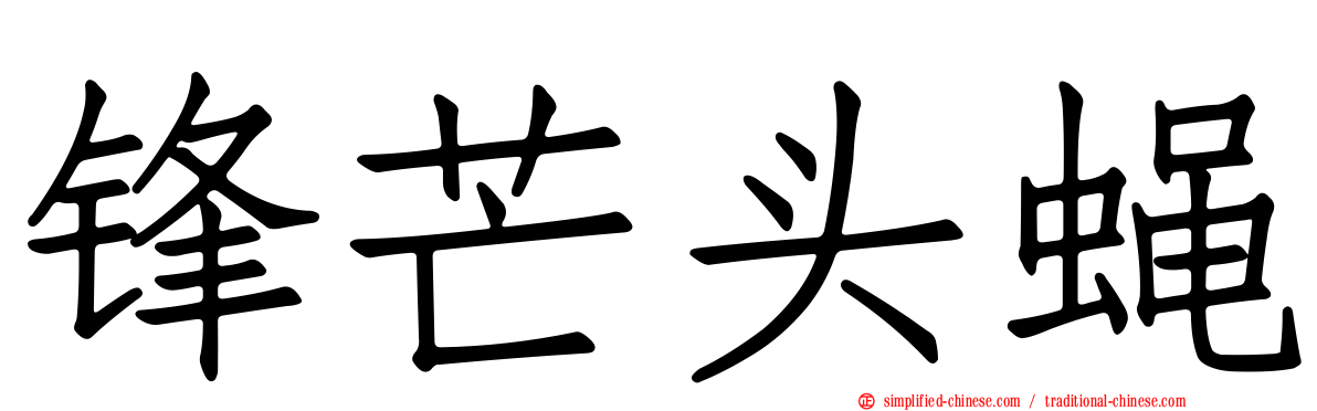 锋芒头蝇
